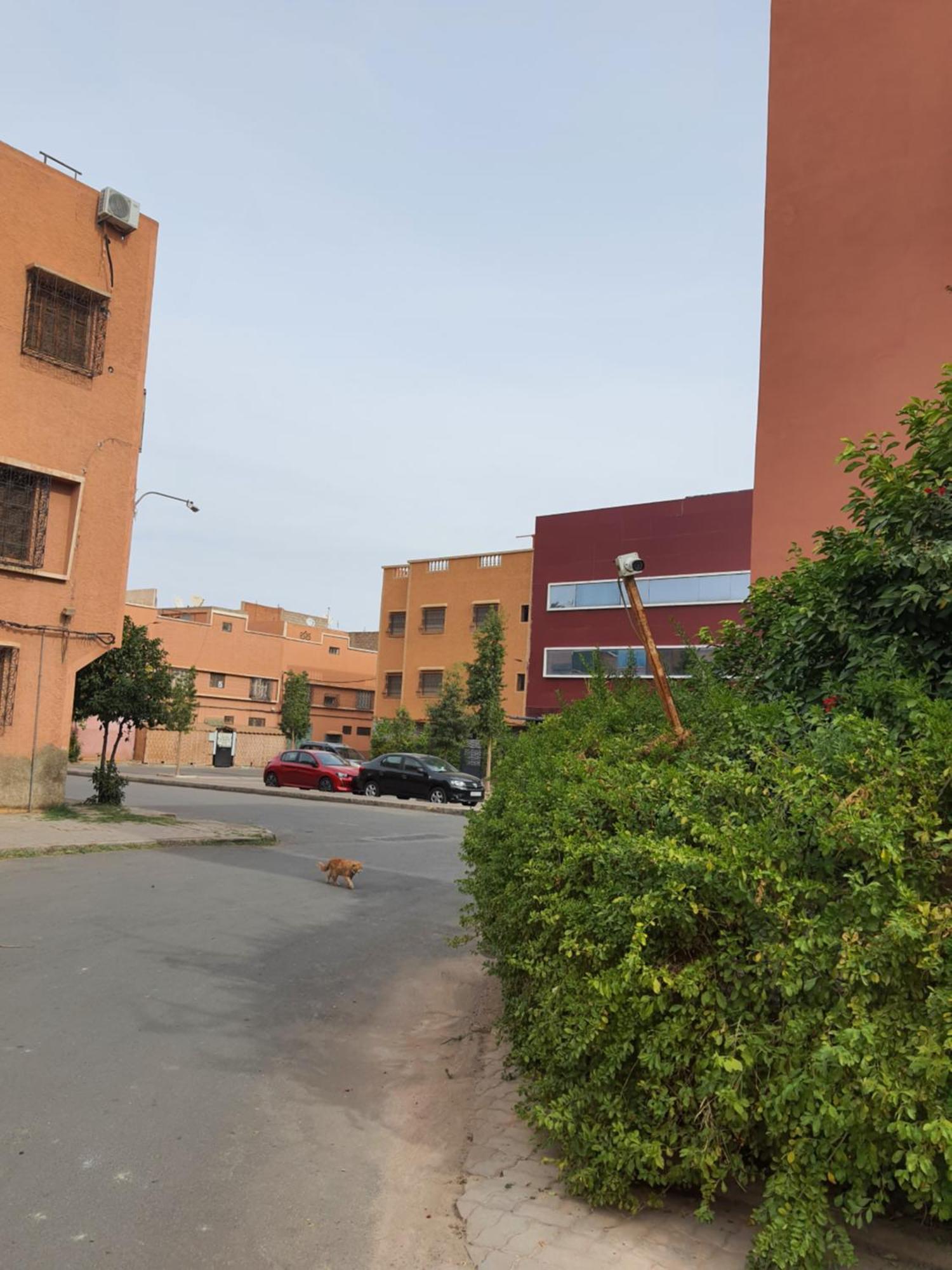 Marrakech Appartement Marrakesh Buitenkant foto