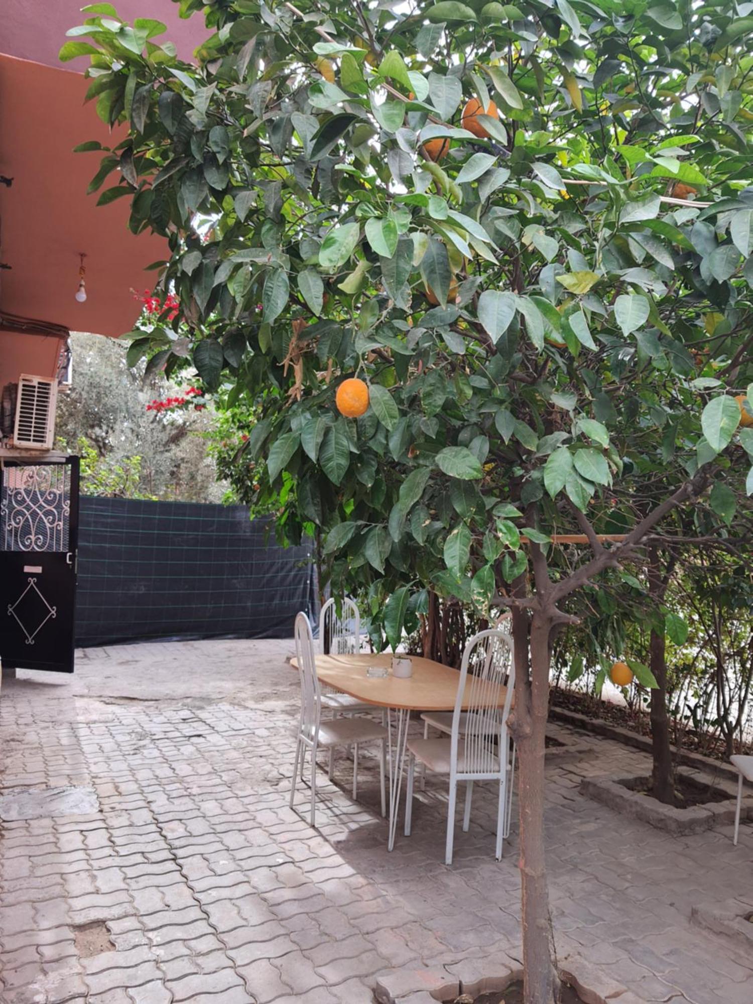 Marrakech Appartement Marrakesh Buitenkant foto