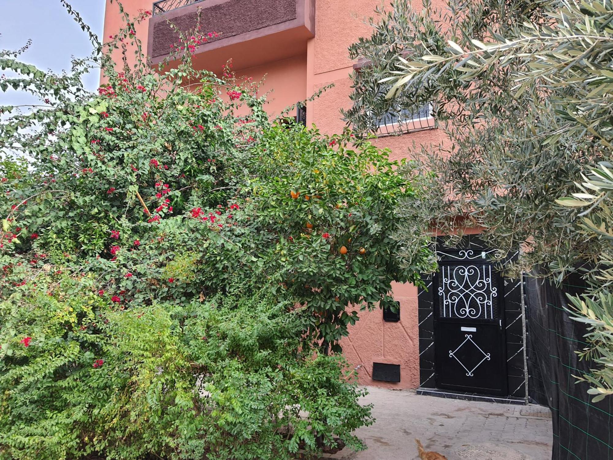 Marrakech Appartement Marrakesh Buitenkant foto